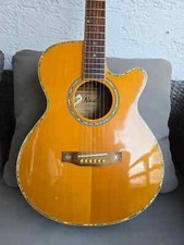 Nash n2ceq vintage gebraucht kaufen  Heilbronn