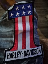 Harley davidson vintage for sale  Blountsville