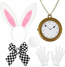 White rabbit costume for sale  HASSOCKS