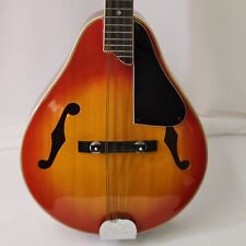 Vintage kay mandolin for sale  Daytona Beach