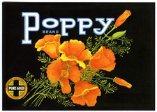 Poppy golden poppies for sale  Lone Tree