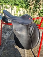 Gorgeous jeffries falcon for sale  LEEDS