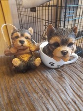 Puppies tea cup for sale  HASTINGS