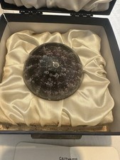 Caithness sea urchin for sale  WIMBORNE