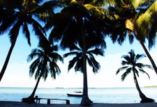 Tropical beach art for sale  Fitchburg