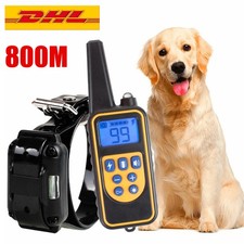 Anti bell hundehalsband gebraucht kaufen  Aspisheim, Grolsheim