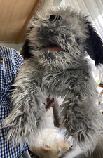 Folkmanis handpuppe groß gebraucht kaufen  Ködnitz