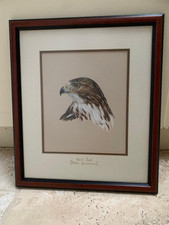 Hawking falconry painting for sale  BIRMINGHAM