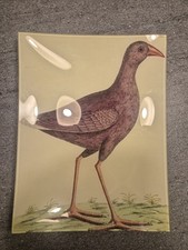 John derian platter. for sale  REDRUTH