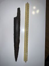 Fossilized swordfish bill for sale  Watertown