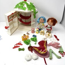 Vtg strawberry shortcake for sale  Leawood