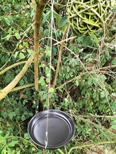 Vogeltränke insektentränke f gebraucht kaufen  Artern