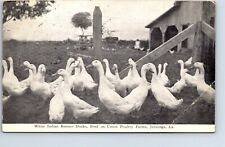 Postcard louisiana jennings for sale  Independence