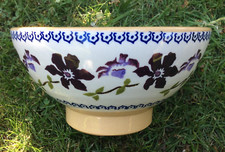 Nicholas mosse clematis for sale  UK
