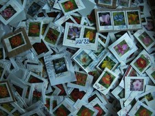 Bund blumen briefmarken gebraucht kaufen  Wüstenrot
