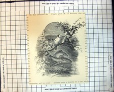 Original old antique for sale  UK