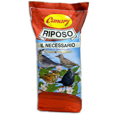Canary riposo necessario usato  Bevagna