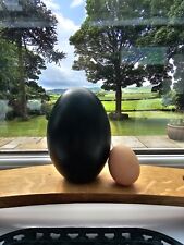 Blown emu egg for sale  SCARBOROUGH