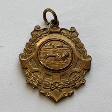 Swimming medal. for sale  BLYTH