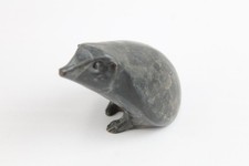 hedgehogs for sale  LEEDS
