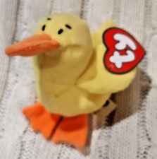 Teenie beanie babies for sale  Parsippany