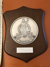 Crest comando carabinieri usato  Milano