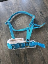 Horse lnging cavesson for sale  Marlborough