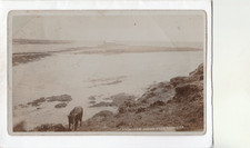 Vintage postcard llangwyfan for sale Vintage postcard llangwyfan for sale  HOLYHEAD