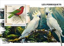 2025 guinea parrots d'occasion  Brunoy