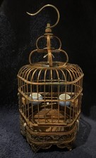 Chinese miniature bamboo for sale  American Canyon