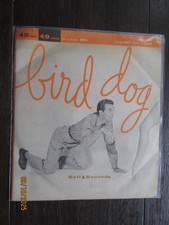 Corio favale bird gebraucht kaufen  Hamburg