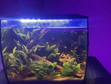 Aquarium fluval gebraucht kaufen  Bad Neustadt-Umland