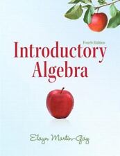 Introductory algebra martin for sale  Aurora