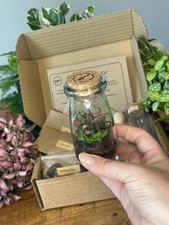 Diy mini terrarium for sale Diy mini terrarium for sale  BEVERLEY