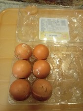 Aseel goldline fresh for sale  OLDHAM