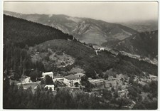 Foresta campigna forli usato  Isola Vicentina