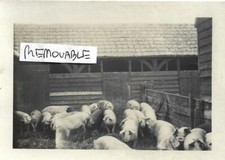 Vintage old farming for sale  NORWICH