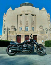 Harley davidson rod gebraucht kaufen  Cottbus