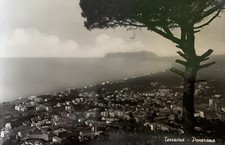 terracina usato terracina usato  Treviso Bresciano