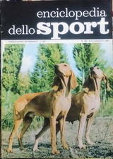 Caccia coppia segugi usato  Quartu Sant Elena