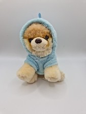 Pomeranian teddy blue for sale  MANCHESTER