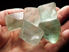 Lot five fluorescent for sale  Salt Lake City