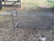 Large catch alive for sale  ROMSEY