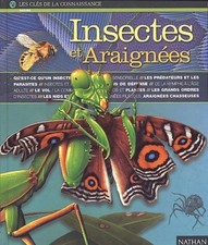 Insectes, araignées d'occasion Insectes, araignées d'occasion Hennebont