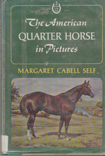 The american quarter d'occasion  Forcalquier