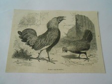 Gravure 1861 zouave d'occasion  La Verpillière