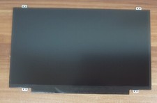 Riginal display 30pin gebraucht kaufen  Regensburg