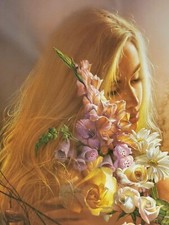 Lee bogle dreams for sale  Pullman