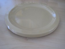 Plastic picnic plates for sale  THATCHAM