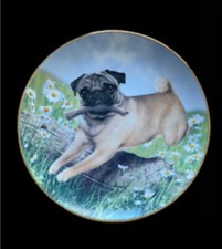 Limited edition danbury for sale  Hugo